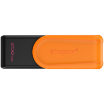 KINGSTON DTXS-256GB