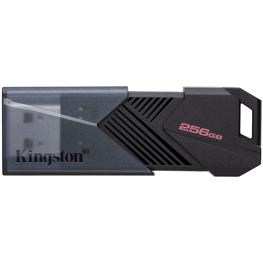 KINGSTON DTXON-256GB
