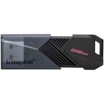 KINGSTON DTXON-256GB